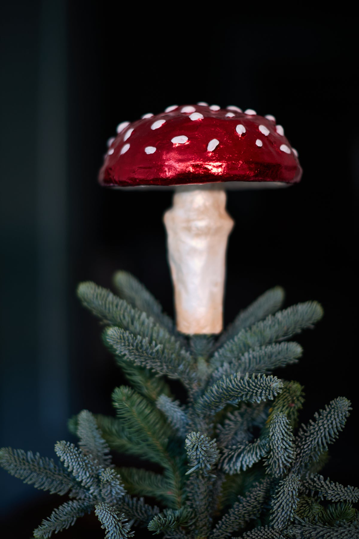 Shroom