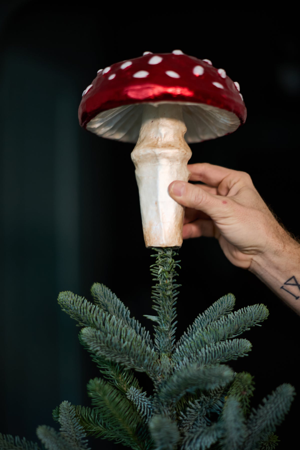 Shroom