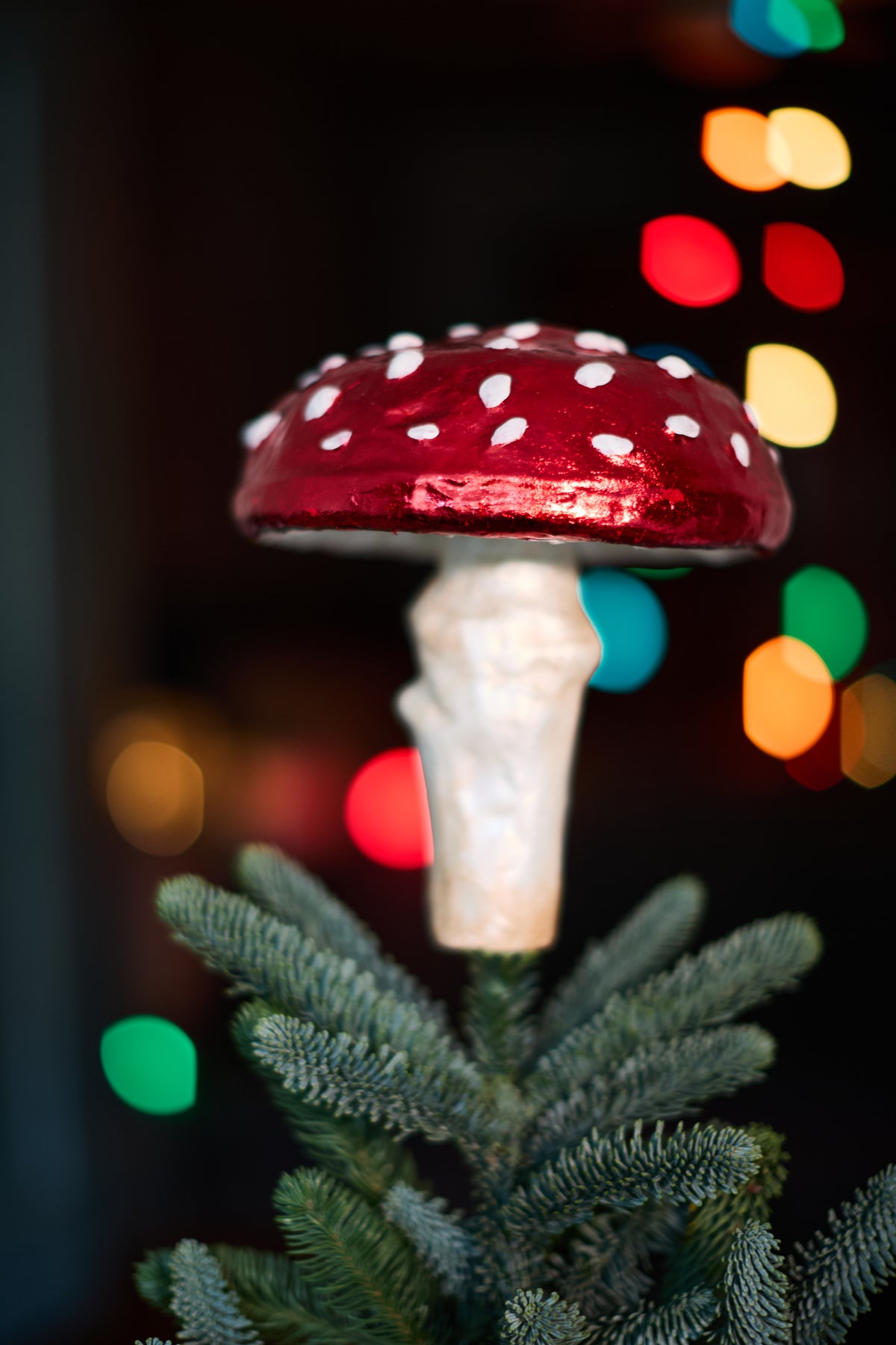 Shroom